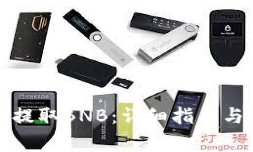 如何从TP钱包提取BNB：详细指南与常见问题解答