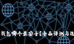 区块链钱包哪个最安全？全面评测与选择指南