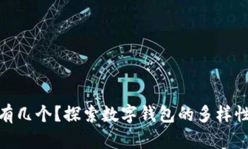 数字钱包有几个？探索数字钱包的多样性与安全性