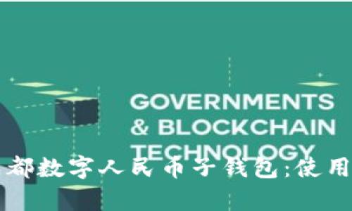 全面解析京东成都数字人民币子钱包：使用指南与实际应用