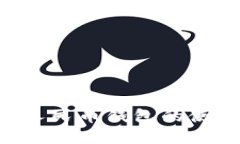 深入了解广东数字人民币钱包的使用、优势与未