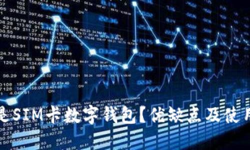 什么是SIM卡数字钱包？优缺点及使用指南