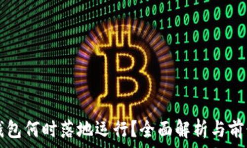   
数字钱包何时落地运行？全面解析与前景展望