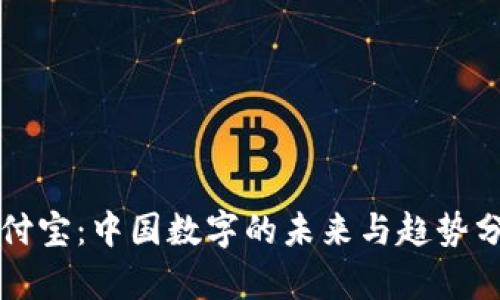 支付宝：中国数字的未来与趋势分析